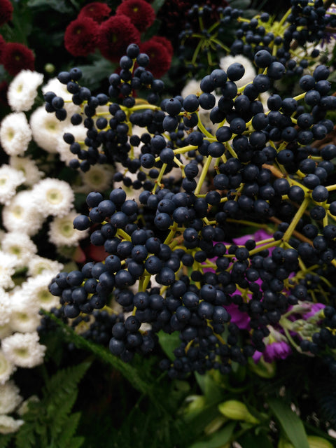 Elderberry Juice